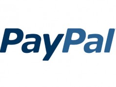 Медведь и рукавичка Лого PayPal