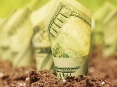 Кооператив и локальная экономика