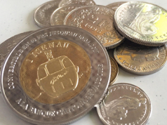 В швейцарской деревне ввели собственную валюту