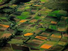 Земельный реестр Украины переводят на блокчейн