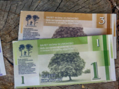 Комплементарные, они же дополнительные, или локальные валюты