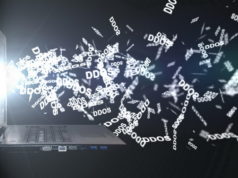 Украинский хакер задержан при продаже правительственных баз данных за криптовалюту