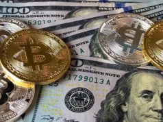 Руководство платежного гиганта Visa призывает к покупке биткойнов