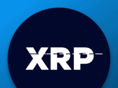 Падение Ripple началось с «падения» ее руководителей