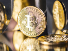 Стивен Харпер: «биткоин может занять место глобальной резервной валюты»