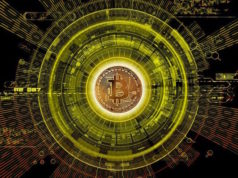 Как регулируют криптовалюты различные страны мира