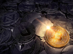 Дэн Морхед: «В течение года криптовалюты вырастут, в отличие от традиционных активов»