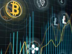 Централизованные биржи продолжат доминировать на рынке криптовалют