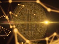 Бывший гендиректор PayPal: Биткоин станет главной платежной системой мира